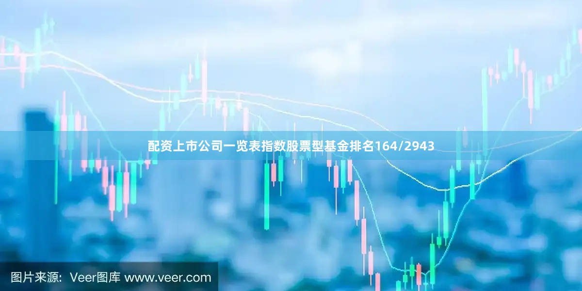 配资上市公司一览表指数股票型基金排名164/2943