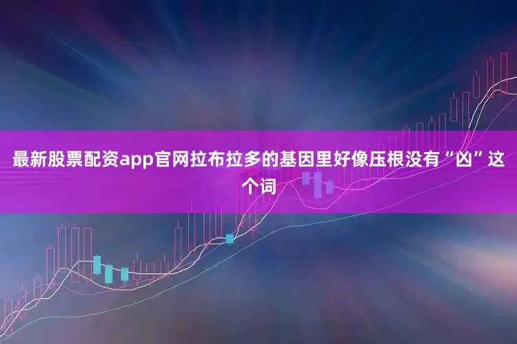 最新股票配资app官网拉布拉多的基因里好像压根没有“凶”这个词